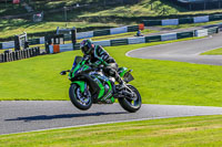Lower Group Green Bikes